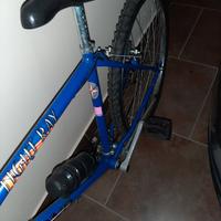 Mountain bike