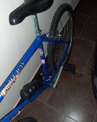 Mountain bike