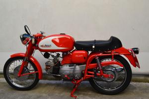 Aermacchi Ala Verde