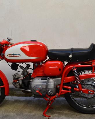 Aermacchi Ala Verde