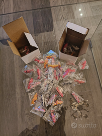 Pesci ornamentali per laghetti fontane piscine