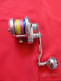 Motore marino per Dentici