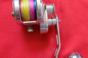 Motore marino per Dentici