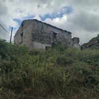 Rustico con piantagione annessa