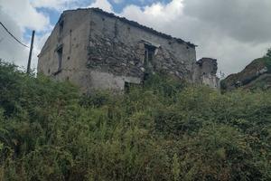 Rustico con piantagione annessa