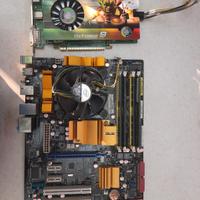 Asus scheda madre più scheda video geforce