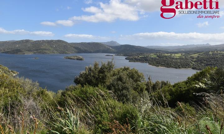 Terreno Agricolo Luras [cod. rif6044780VCG]