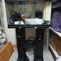 acquario 60l con supporto 