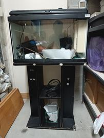 acquario 60l con supporto 