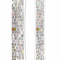 bataleon goliath 158w nuovo