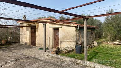 RUSTICO A PALESTRINA