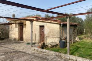 RUSTICO A PALESTRINA