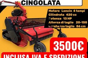 TrinciaErba cingolata 86 CM RSV