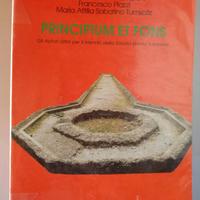 principium et fons liceo scientifico autori latino