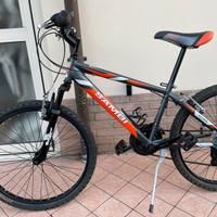 Bicicletta mountain bike