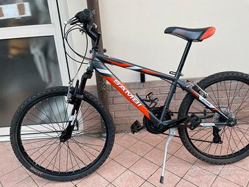 Bicicletta mountain bike