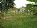 terreno-residenziale-isola-vicentina