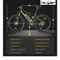 Bicicletta elettrica