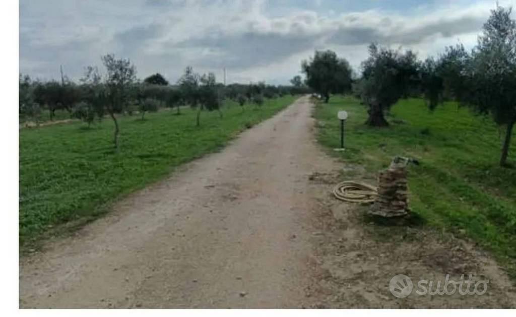 Immobile in asta di 7132 m² a Castelvetrano - Vista 4