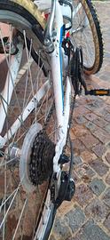 mountain bike per ragazzo 