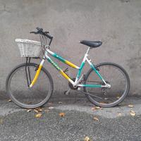 bicicletta da ragazza