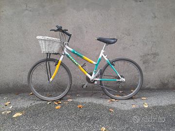 bicicletta da ragazza