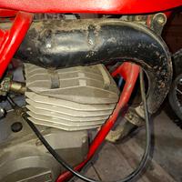 marmitta fantic 50 trial