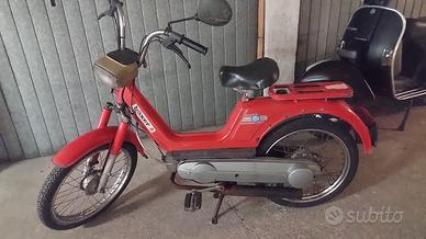 boxer piaggio
