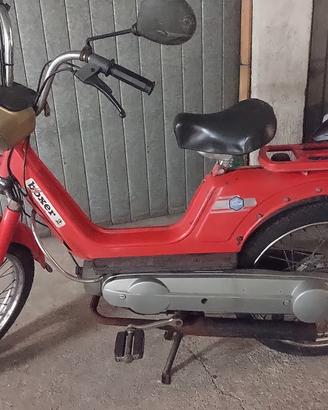 boxer piaggio