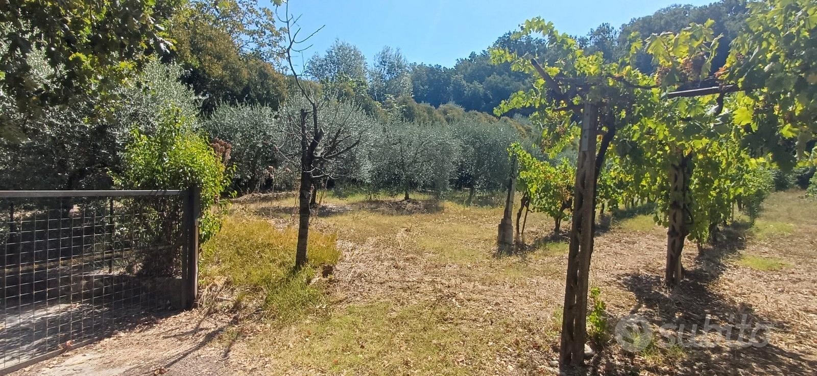 Terreno Edificabile - Altro