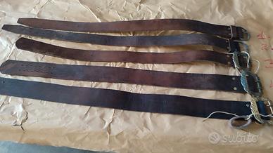 Cinture per bestiame