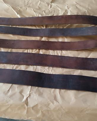 Cinture per bestiame