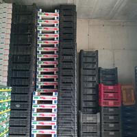 cassette/imballaggi di plastica 