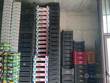 cassette/imballaggi di plastica 