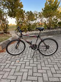 Bici galant