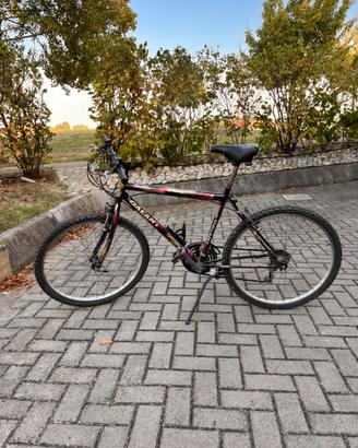 Bici galant