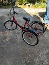 bicicletta per disabili 