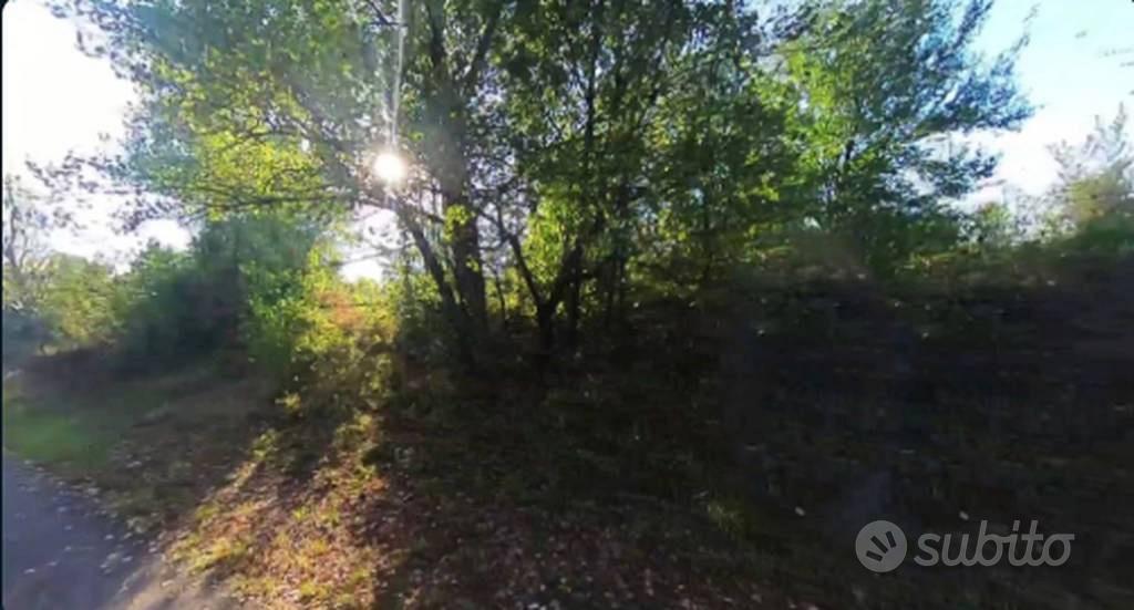 Immobile in asta di 147566 m² a Castellarano - Vista 5