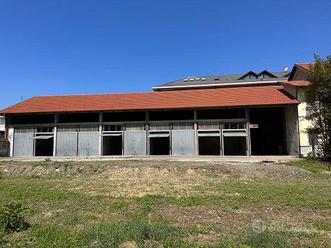 CIRIE' (TO) Box auto singoli