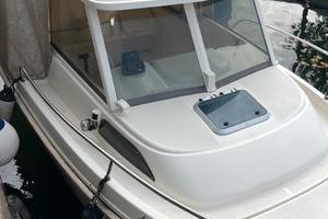 pilotina su lago di garda