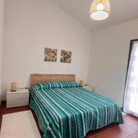 Il Verde Ulivo I.U.N R4825