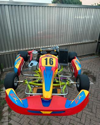 gokart 100cc