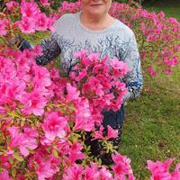 Badante l' esperta in Toscana