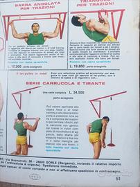 Palestra vintage Vigor 