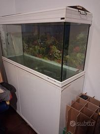 acquario