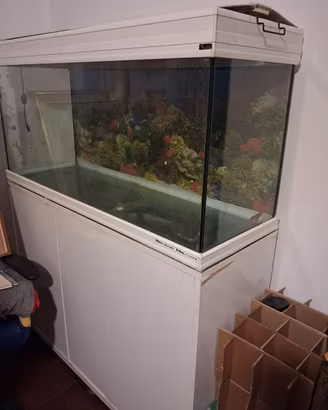 acquario