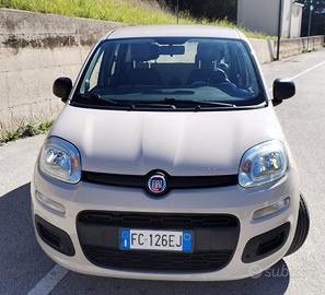 Panda   1.2  benzina