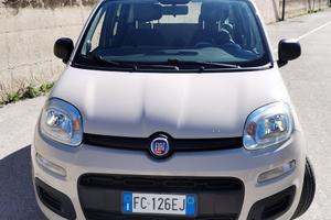 Panda   1.2  benzina