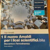 Il nuovo Amaldi per i licei scientifici.blu  