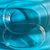 Pirofila Pirex con coperchio